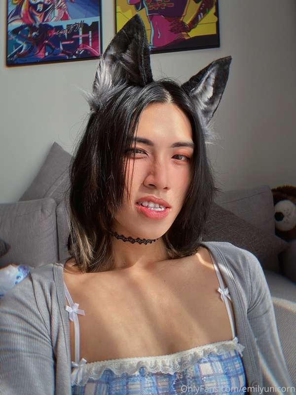 I am now officially obsessed with wolf ears. Another day, an..