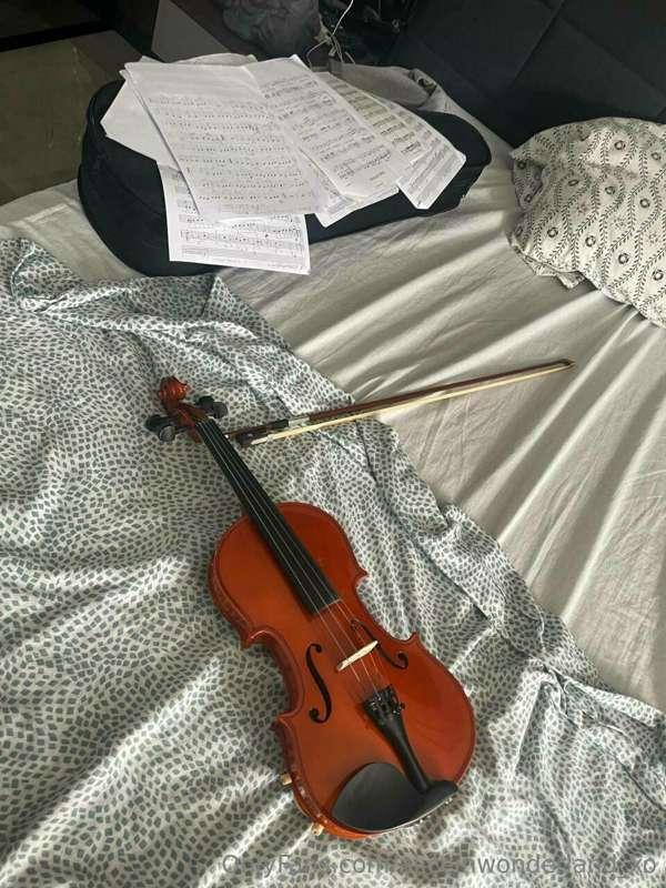 The violin is my soul and the melody of my heart. It is with..