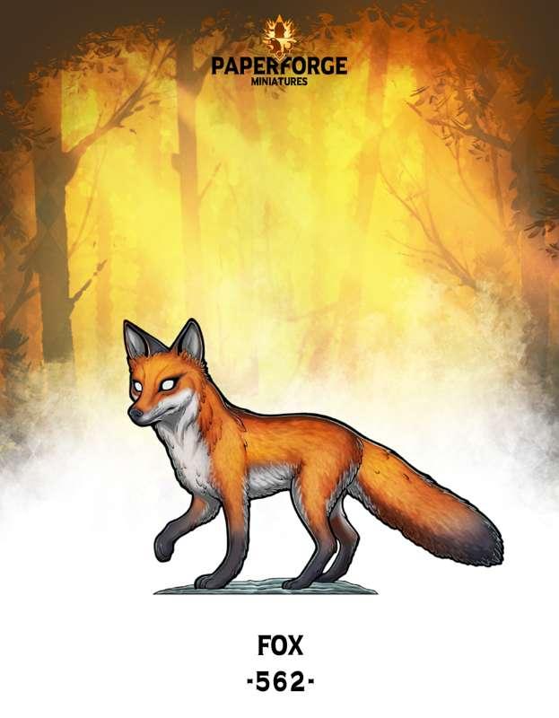 #562 Fox