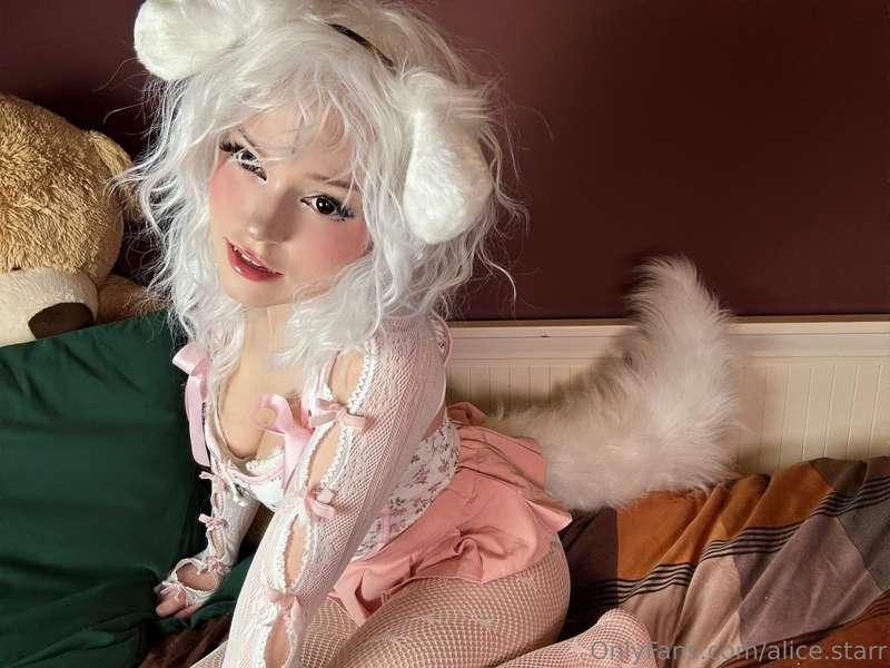 alice.starr image #25