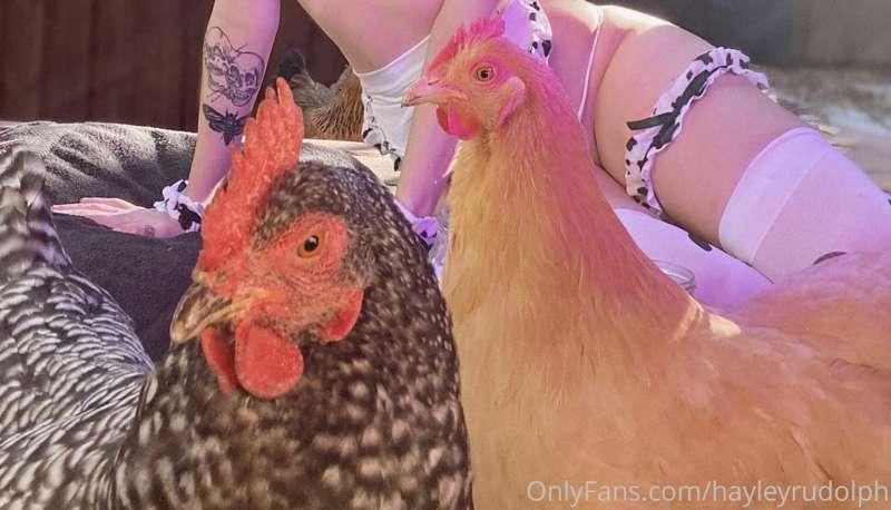 When you try to take sexy pictures with your chickens & they..
