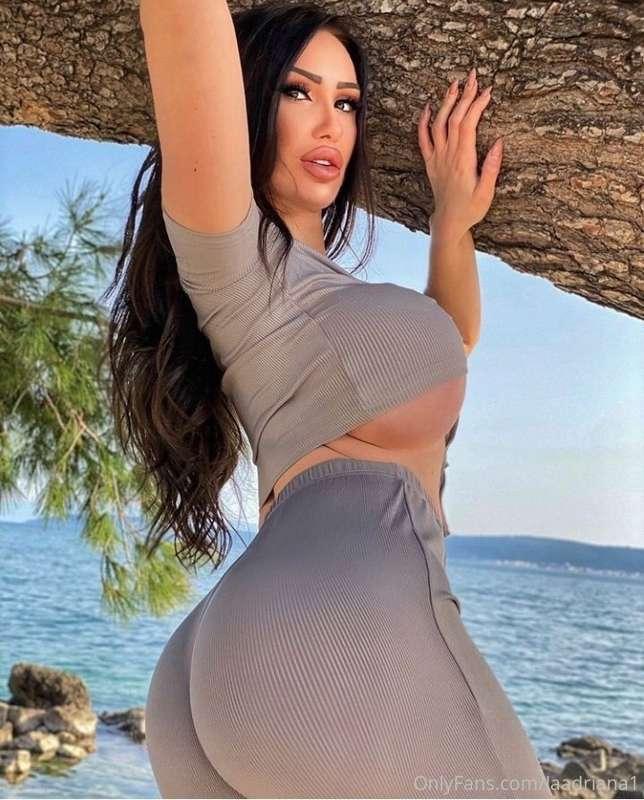 🦋🦋🦋