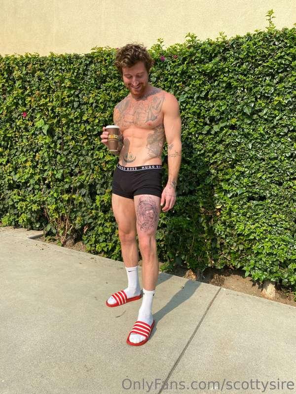 scottysire image #0