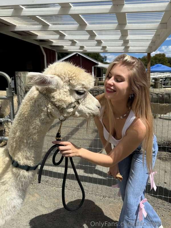 Llamas love me… do you? 👀🔥