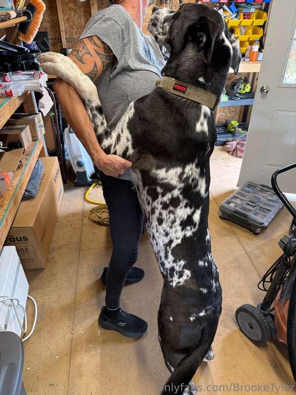 Found someone who wants to help ❤️