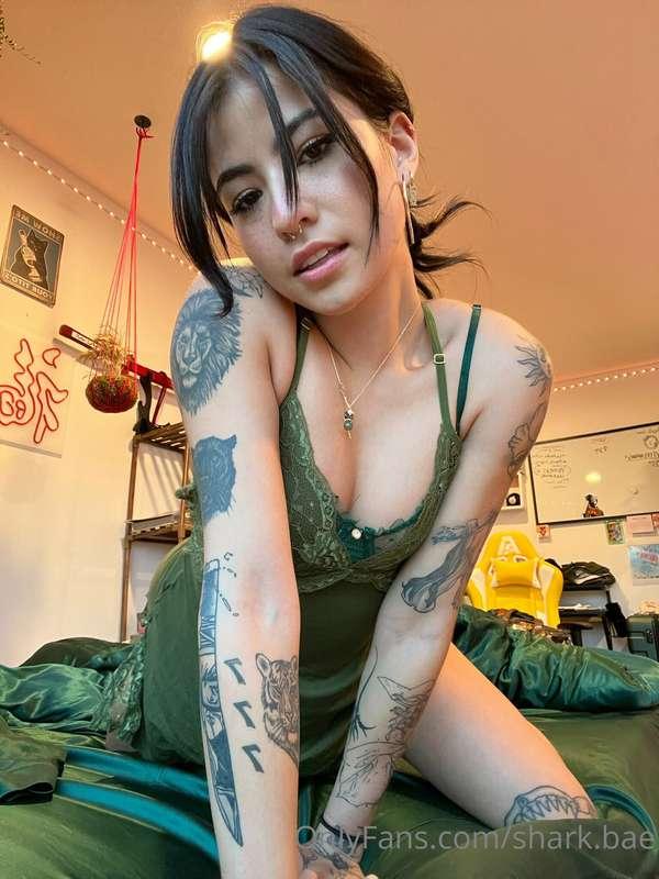 shark.bae main image