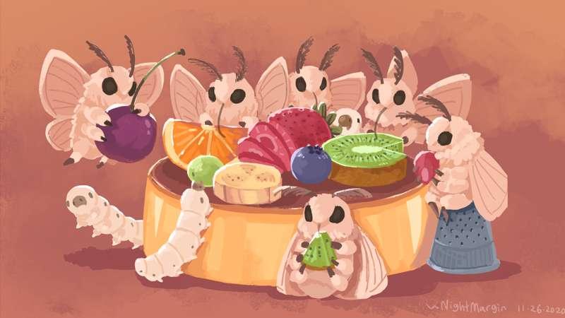 thanksgiving bonus wallpaper