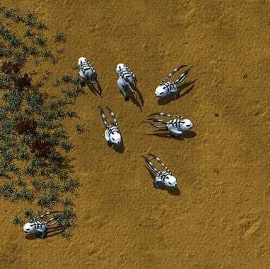 Cottonguts on the map!