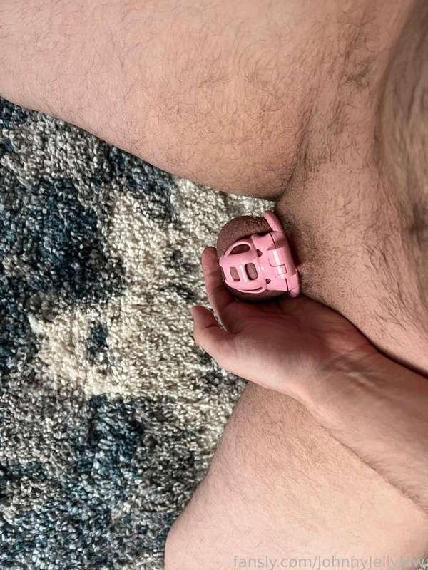 We hit our tip goal last night for fansly stream so as promised I will remain locked up until Next fansly stream where we will do it all again, in theory you guys could keep me locked up forever. . . . . 

I didn't think this through did I?

#chastity #toonTuber #lockup #slut #dick