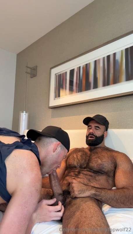 alphatopwolf22 image #29