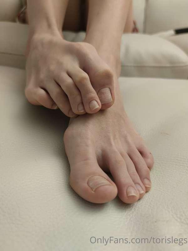 torislegs image #9