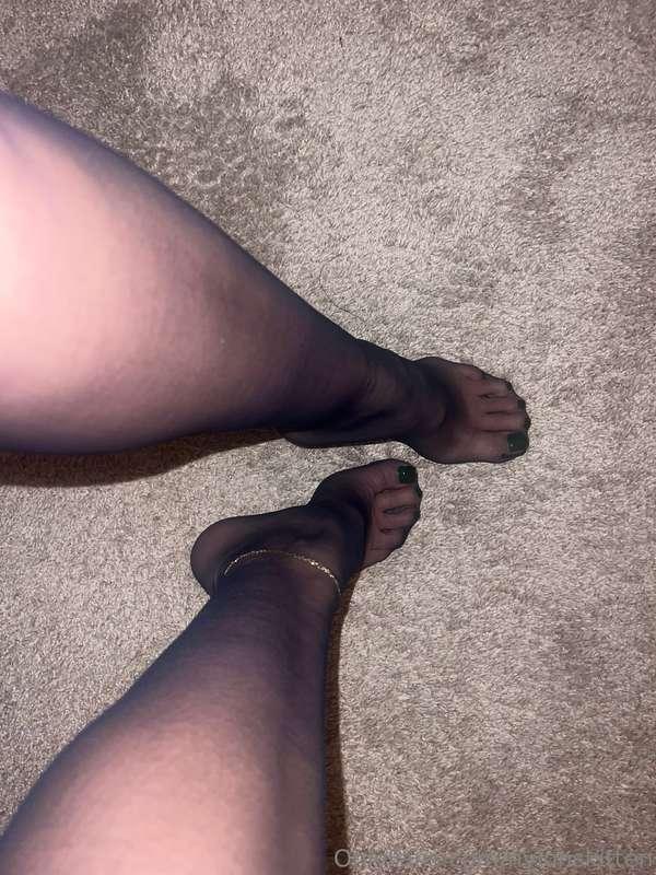 nylonskitten image #0