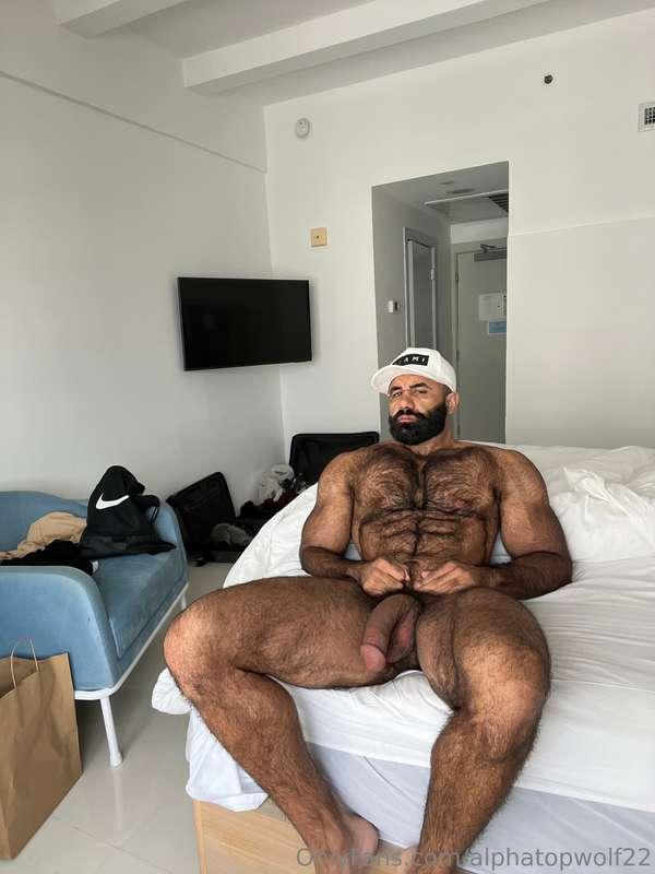 alphatopwolf22 image #1