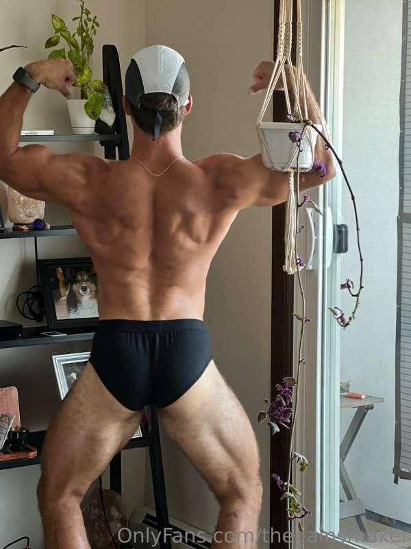 thegainsmaker image #6