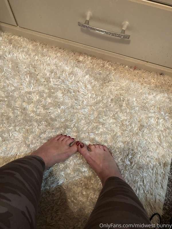 midwest.bunny image #1