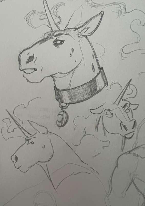 early morning horse fix