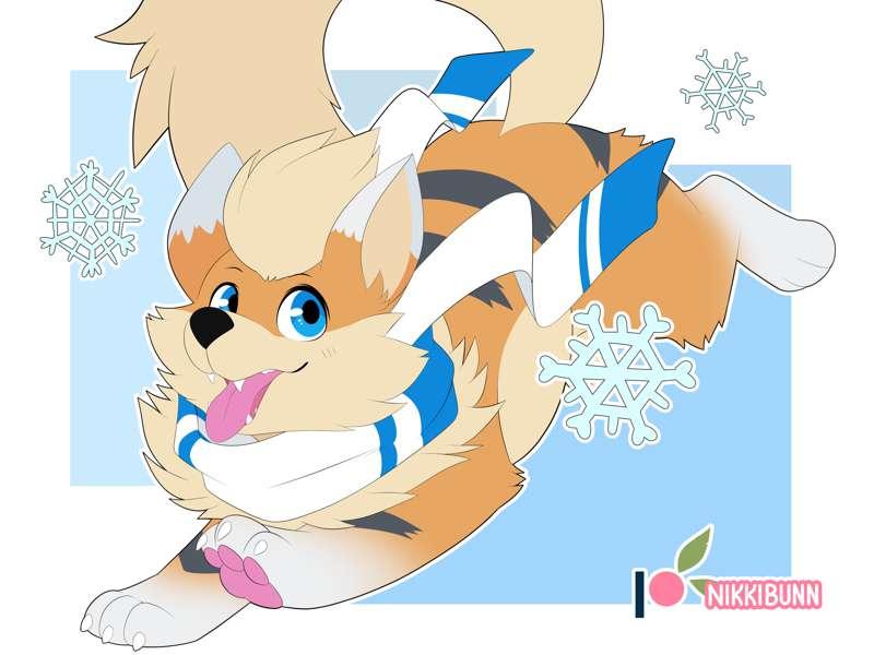 Under the snow ❄️ 🐾