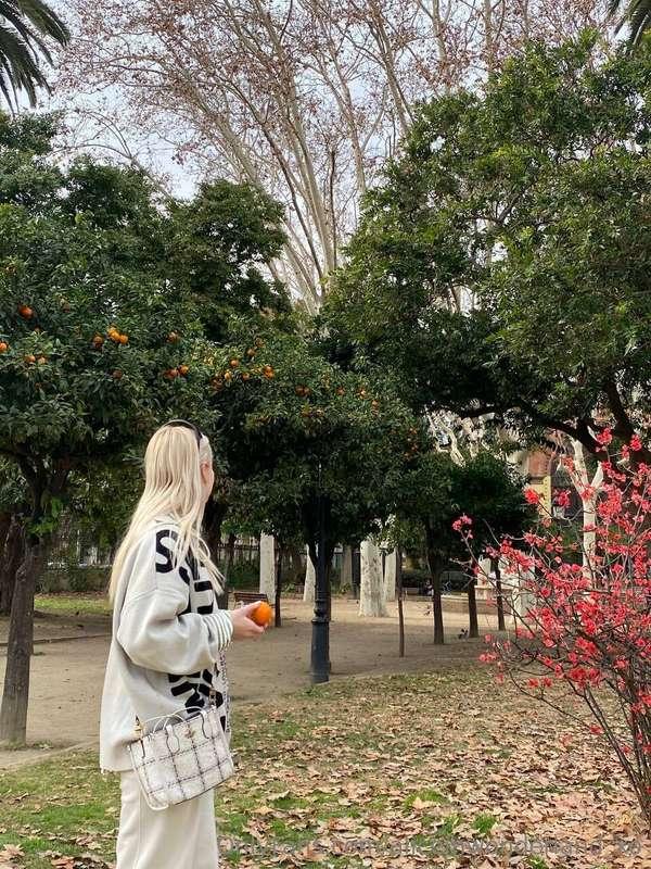 I picked a tangerine. I'm being a bully 😝