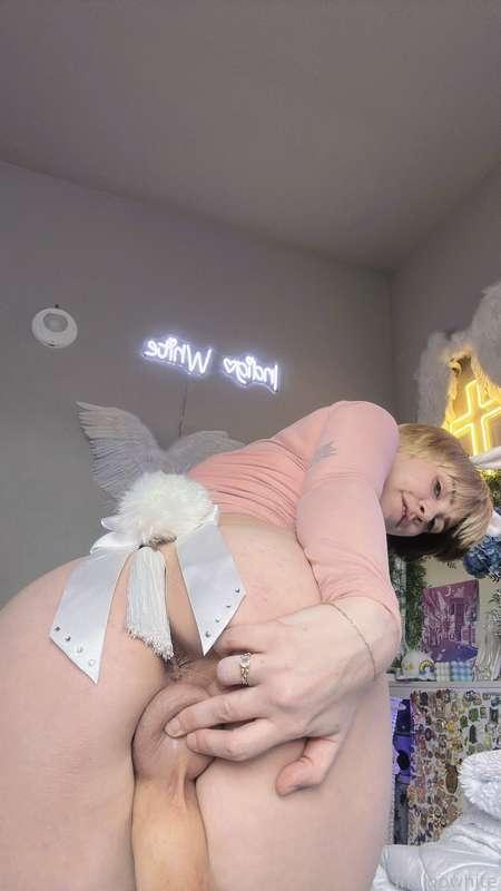 indigowhite image #123
