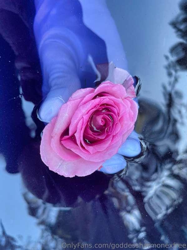 Not fragile like a flower. Fragile like a bomb.