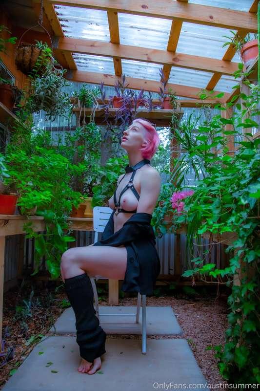 spicyelixir image #4