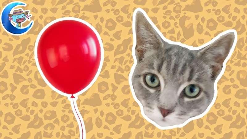 The cat and the balloon