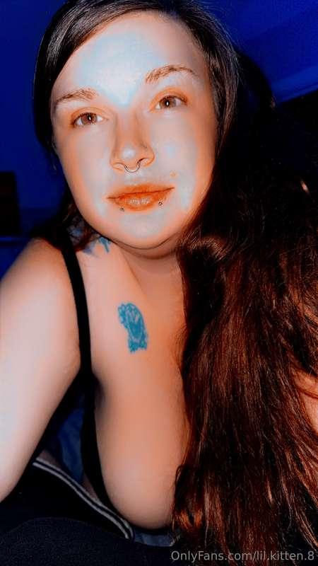 lil.kitten.8 image #8