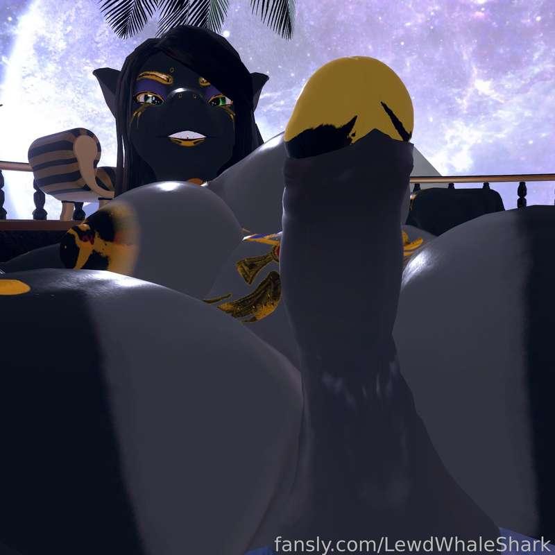 lewdwhaleshark image #5