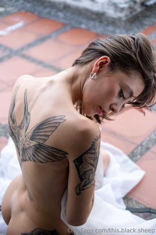 this.black.sheep image #2