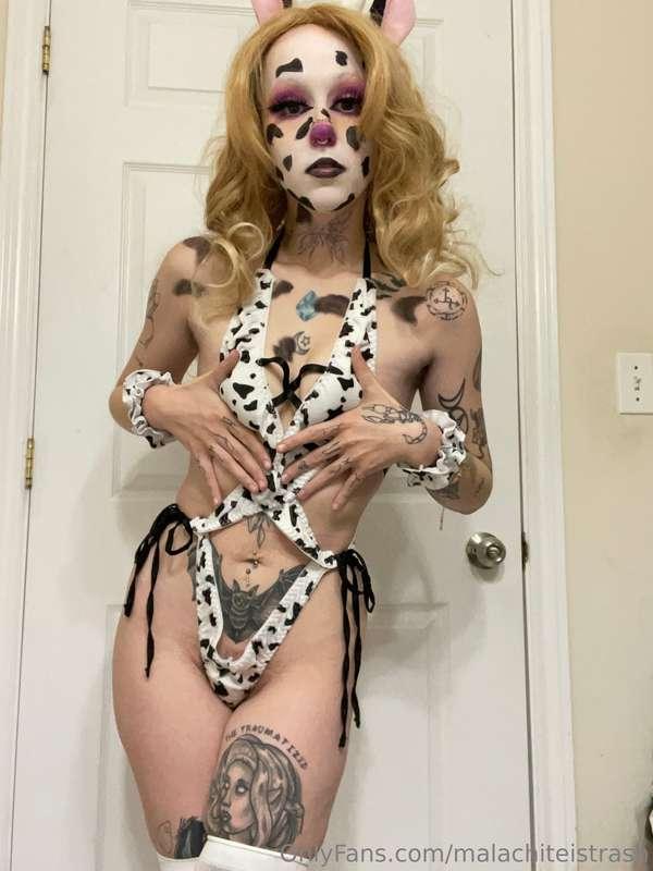 Check my last post to see the rest of this sexy cow set 👀🥵 y..