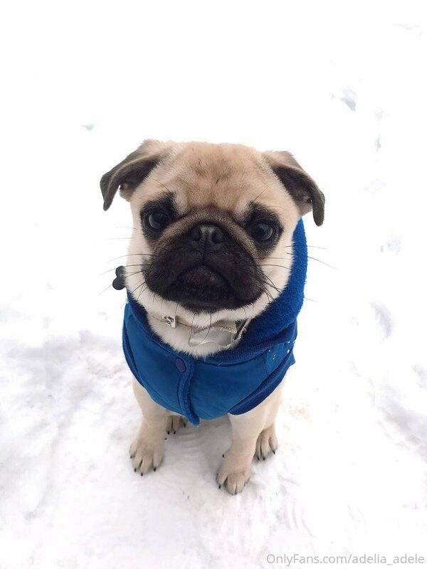 adelia_adelia image #0