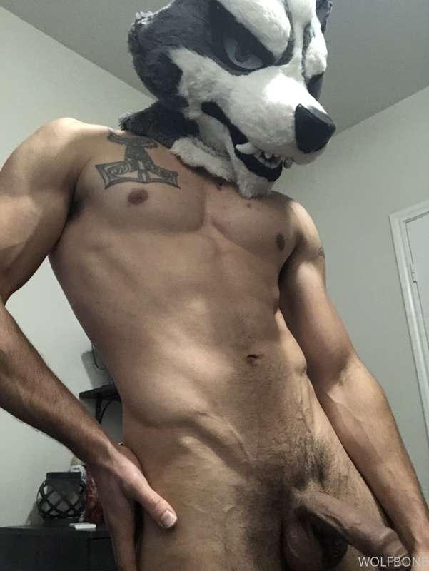 Ready to plow and be plowed tbh! A wolf can ride a dick when..