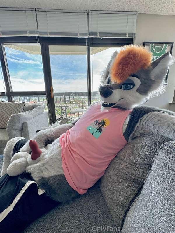 Hanging out and your wolf bro gives you the look 👀💦