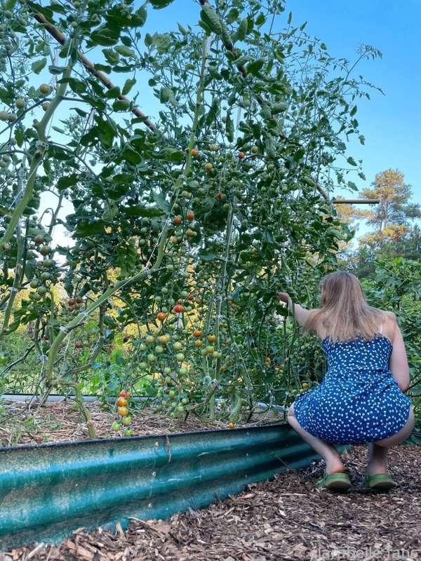 I can't wait to garden again 🌿🥰#fyp #outdoor #outside #nudes #naughty #amateur #redhead #nsfw #exhibitionist #masturbation #fit #risky 