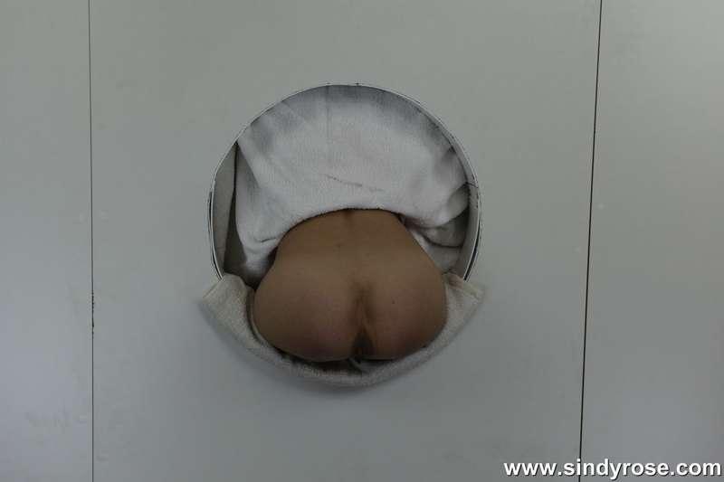 sindyrose image #4