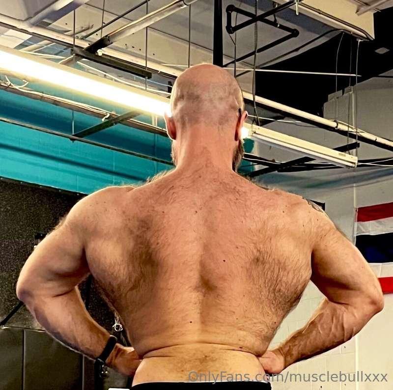 musclebullxxx image #0