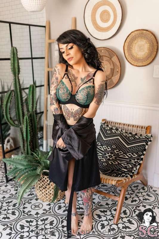 Hi babes! 

I will be going live on the free @suicidegirls o..