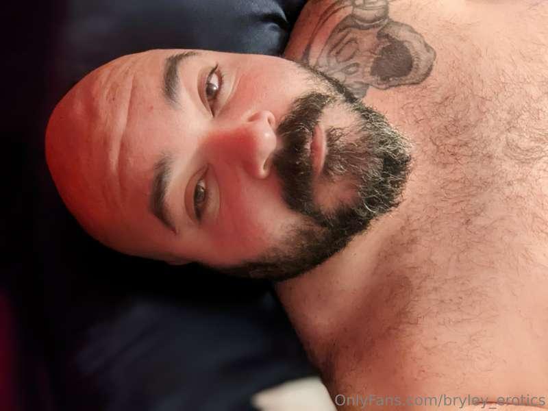bryley_bear image #3