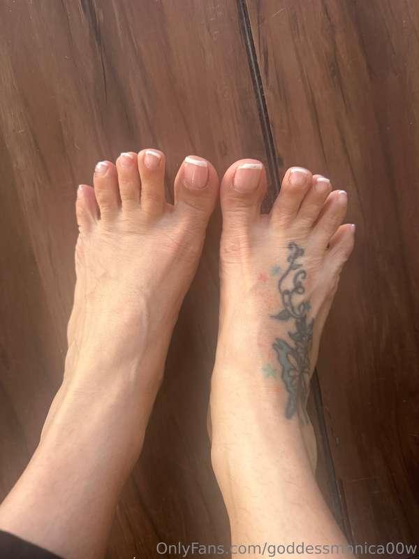 goddessmonica00w image #0