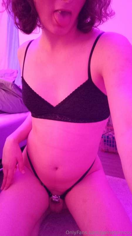 caged girls make the best fuckholes