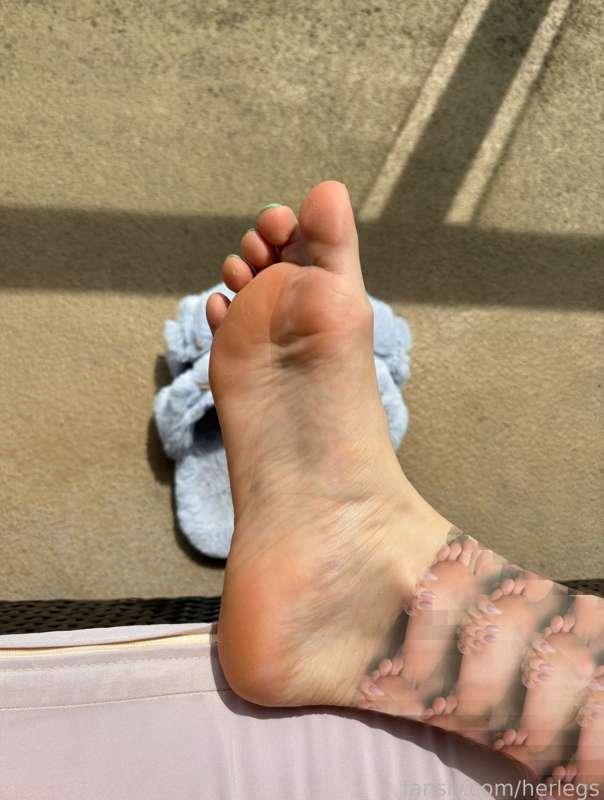 herlegs image #3