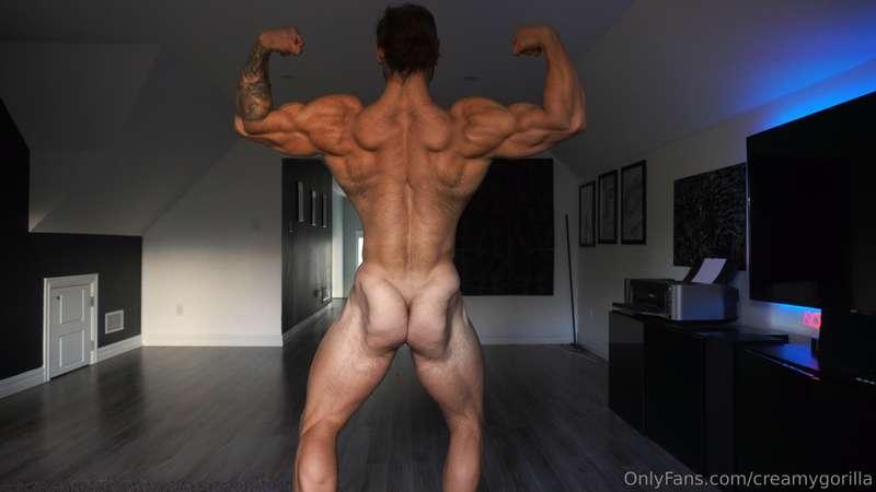 creamygorilla image #0