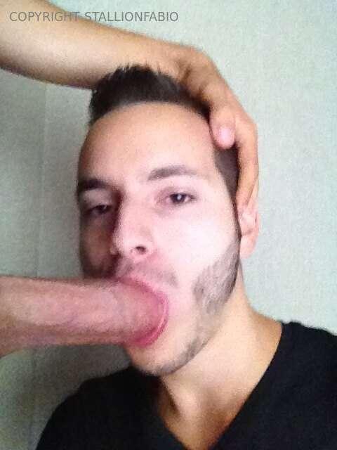 stallionfabio image #2