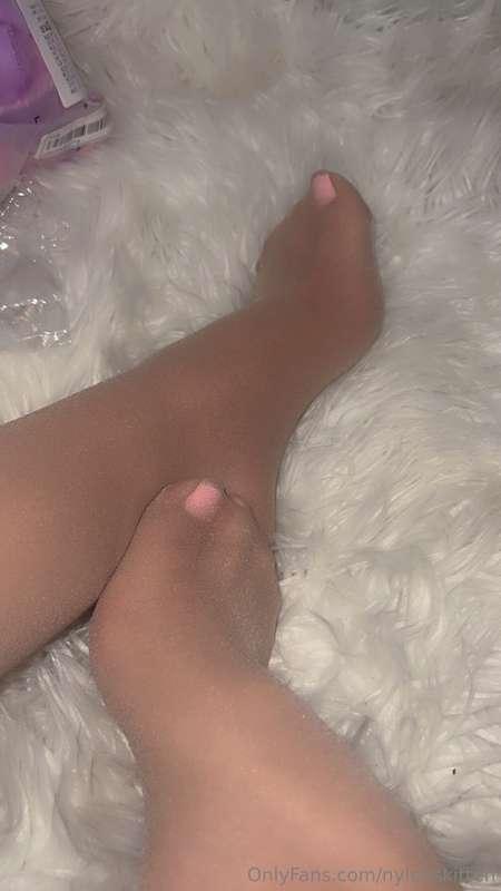 nylonskitten image #0