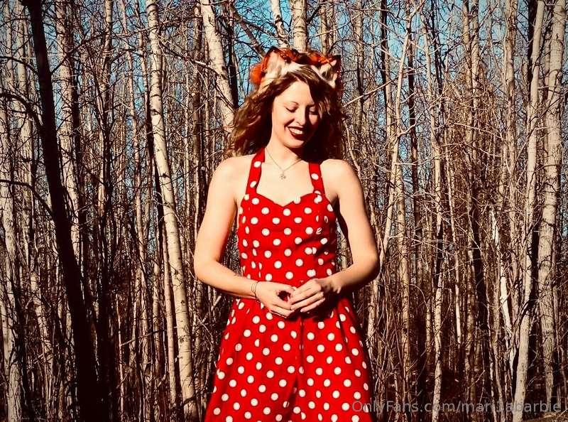 Spring is halfway here today! 🦊