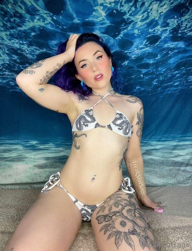 take a dive 💦 