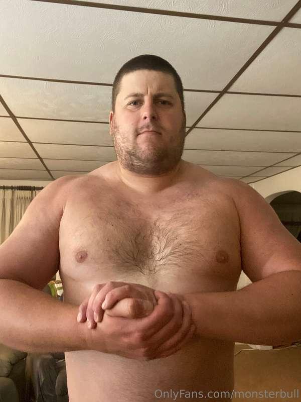 thebulkinghog image #0