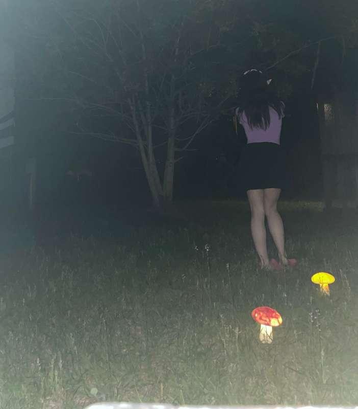 🍄