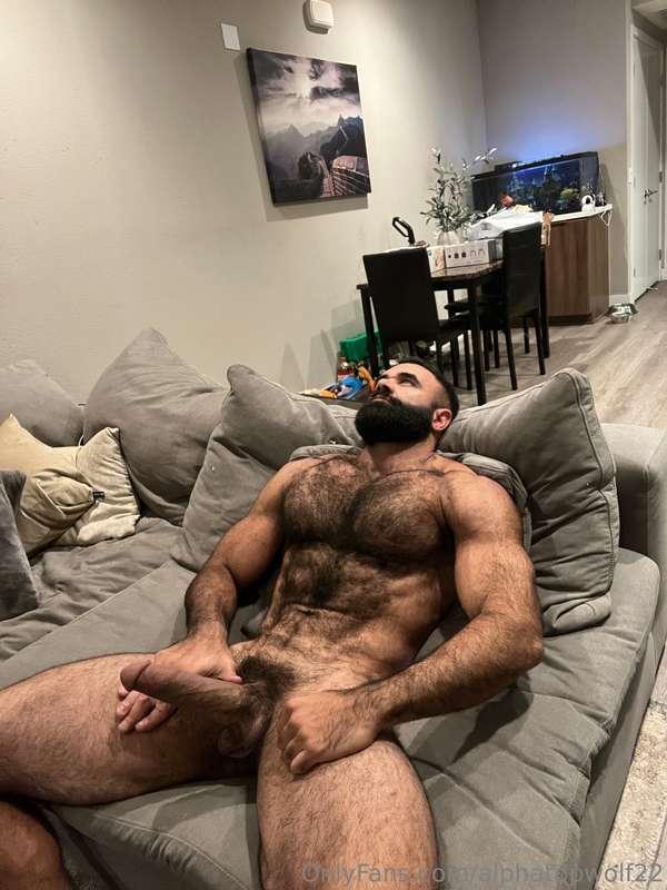 alphatopwolf22 image #0