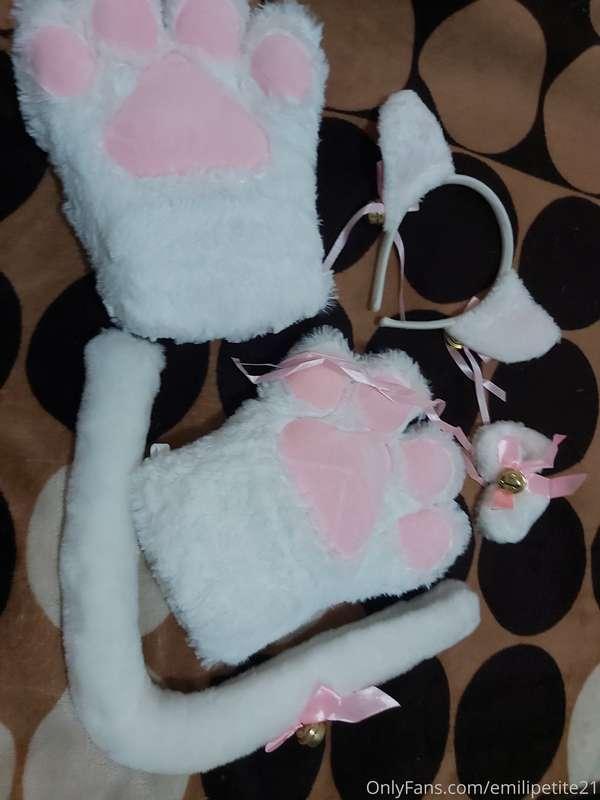 Ya tengo el cosplay casi completo queridos 🤭 miau  I have ne..